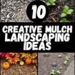 14 Creative Mulch Landscaping Ideas for Your Garden
