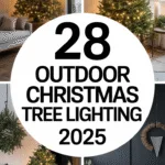 Outdoor Christmas Tree Lighting Ideas