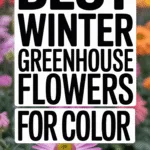 What to Grow in a Greenhouse in Winter