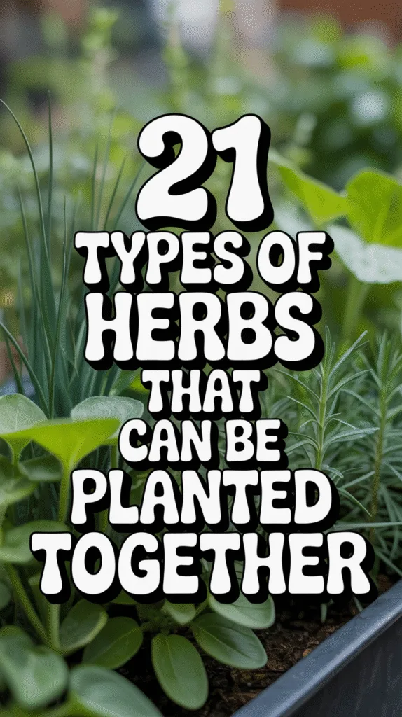 What Herbs Can Be Planted Together: Companion Planting Guide for Healthy, Productive Herb Gardens